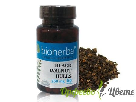ХРАНИТЕЛНИ ДОБАВКИ Висок холестерол БИОХЕРБА ЧЕРЕН ОРЕХ 250 мг *60 капсули/ Bioherba black walnut hulls 250 mg* 60 capsules